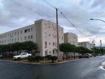 Alugar Apartamento / Padrão em São José do Rio Preto R$ 800,00 - Foto 2
