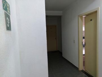 Alugar Apartamento / Padrão em São José do Rio Preto R$ 800,00 - Foto 4