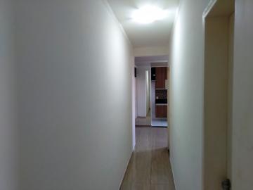 Alugar Apartamento / Padrão em São José do Rio Preto apenas R$ 800,00 - Foto 24