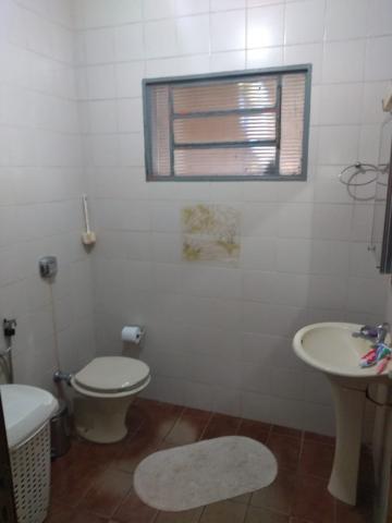 Comprar Rural / Chácara em São José do Rio Preto apenas R$ 1.600.000,00 - Foto 6