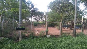 Comprar Rural / Chácara em São José do Rio Preto apenas R$ 1.600.000,00 - Foto 11