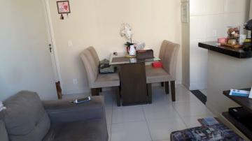 Alugar Apartamento / Padrão em São José do Rio Preto. apenas R$ 180.000,00