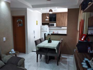 imagem 1 - Lindo Apartamento na Região Leste imagem 1 - Lindo Apartamento na Região Leste