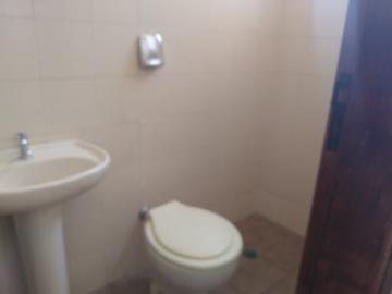 Alugar Apartamento / Padrão em São José do Rio Preto apenas R$ 1.350,00 - Foto 19