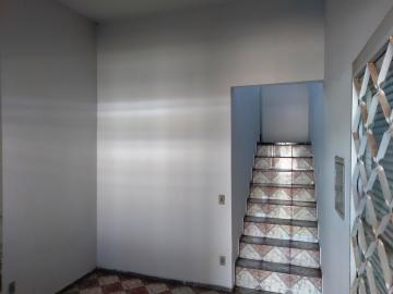 Alugar Casa / Sobrado em São José do Rio Preto apenas R$ 1.750,00 - Foto 4