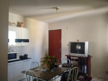 Alugar Apartamento / Padrão em São José do Rio Preto. apenas R$ 85.000,00