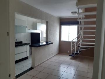Apartamento / Cobertura em São José do Rio Preto Alugar por R$1.200,00
