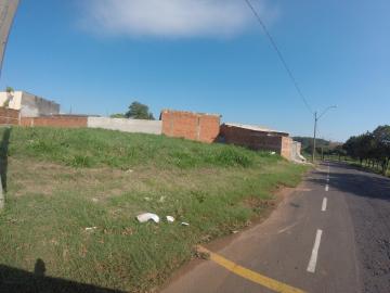imagem 4 - Terreno comercial no Jardim Arroyo imagem 4 - Terreno comercial no Jardim Arroyo