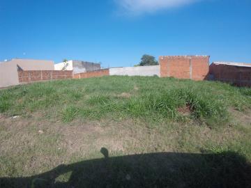 imagem 5 - Terreno comercial no Jardim Arroyo imagem 5 - Terreno comercial no Jardim Arroyo