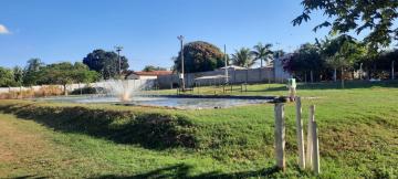 Alugar Rural / Sítio em São José do Rio Preto. apenas R$ 1.500.000,00