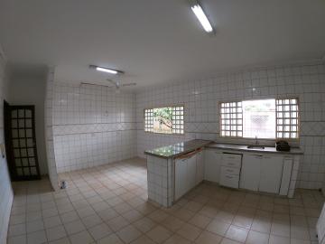 Alugar Casa / Padrão em São José do Rio Preto R$ 2.900,00 - Foto 13