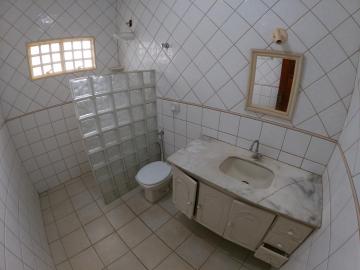 Alugar Casa / Padrão em São José do Rio Preto R$ 2.900,00 - Foto 19