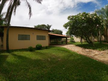 Alugar Casa / Padrão em São José do Rio Preto R$ 2.900,00 - Foto 1