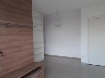 Alugar Apartamento / Padrão em São José do Rio Preto apenas R$ 990,00 - Foto 4