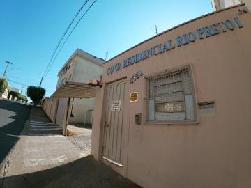 Alugar Apartamento / Padrão em São José do Rio Preto R$ 550,00 - Foto 1