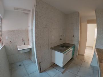 Alugar Apartamento / Padrão em São José do Rio Preto R$ 500,00 - Foto 5