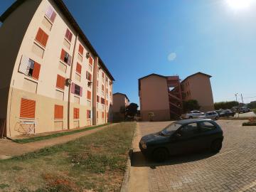 Alugar Apartamento / Padrão em São José do Rio Preto R$ 500,00 - Foto 16