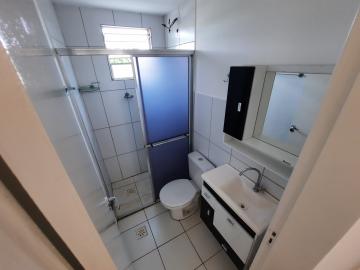 Alugar Apartamento / Padrão em São José do Rio Preto R$ 600,00 - Foto 11