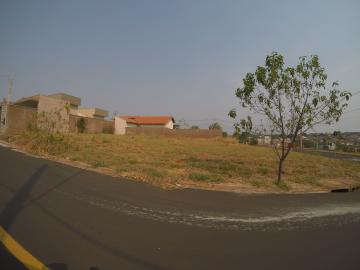imagem 1 - Terreno - Padrão imagem 1 - Terreno - Padrão