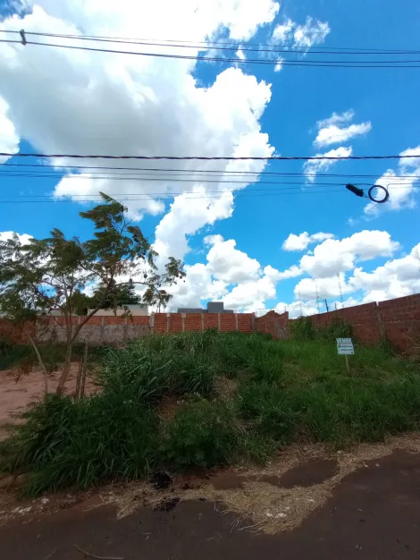 Comprar Terreno / Padrão em Bady Bassitt apenas R$ 58.500,00 - Foto 2