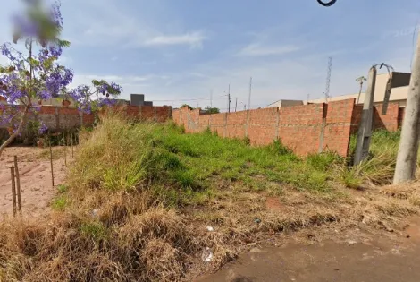 Terreno / Padrão em Bady Bassitt 