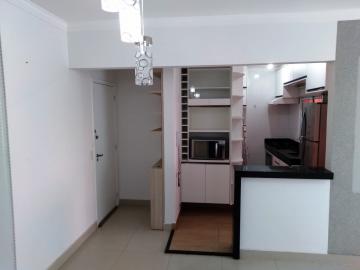 Alugar Apartamento / Padrão em São José do Rio Preto R$ 1.600,00 - Foto 30