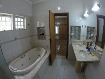 Alugar Casa / Padrão em São José do Rio Preto R$ 2.800,00 - Foto 13