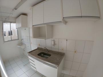 Alugar Apartamento / Padrão em São José do Rio Preto apenas R$ 750,00 - Foto 5