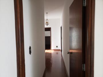 Alugar Casa / Padrão em São José do Rio Preto R$ 4.200,00 - Foto 10