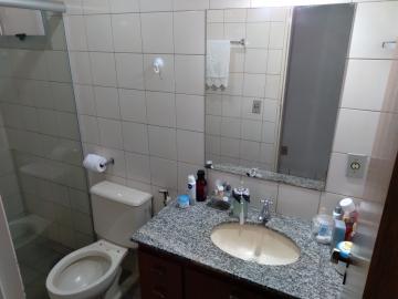 Alugar Apartamento / Padrão em São José do Rio Preto R$ 800,00 - Foto 18