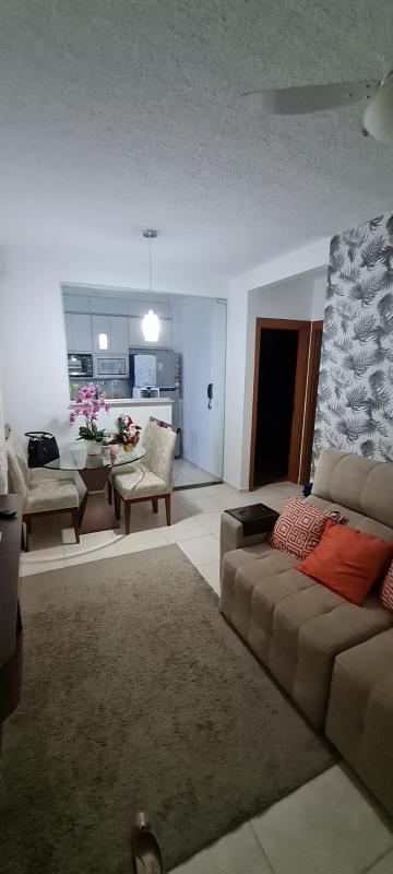 Apartamento / Padrão em São José do Rio Preto 