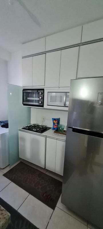 Alugar Apartamento / Padrão em São José do Rio Preto R$ 800,00 - Foto 5