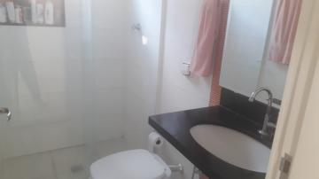 imagem 1 - CASTELINHO - Casa excelente, reformada recentemente, 3 dorms, quintal,  perto de escolas, pequenos comércios, Bosque Municipal, Unesp, Pintura nova imagem 1 - CASTELINHO - Casa excelente, reformada recentemente, 3 dorms, quintal,  perto de escolas, pequenos comércios, Bosque Municipal, Unesp, Pintura nova
