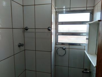 Alugar Apartamento / Padrão em São José do Rio Preto apenas R$ 700,00 - Foto 22