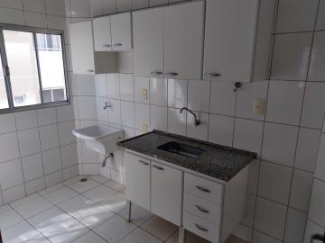 Alugar Apartamento / Padrão em São José do Rio Preto apenas R$ 700,00 - Foto 24