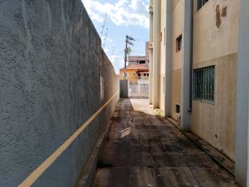 Alugar Apartamento / Padrão em São José do Rio Preto R$ 700,00 - Foto 39