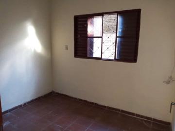 Alugar Casa / Padrão em São José do Rio Preto apenas R$ 750,00 - Foto 5