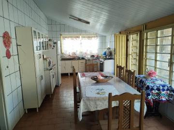Comprar Casa / Padrão em São José do Rio Preto R$ 450.000,00 - Foto 14