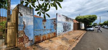 Terreno / Padrão em São José do Rio Preto 