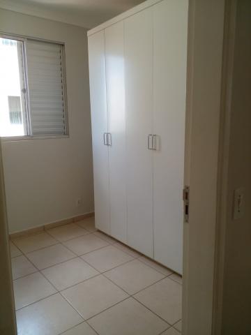 imagem 3 - Apartamento - Cobertura imagem 3 - Apartamento - Cobertura