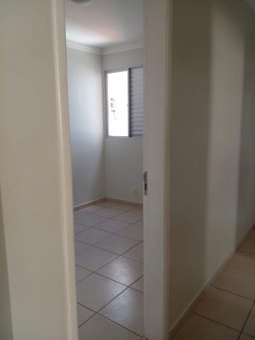 imagem 4 - Apartamento - Cobertura imagem 4 - Apartamento - Cobertura