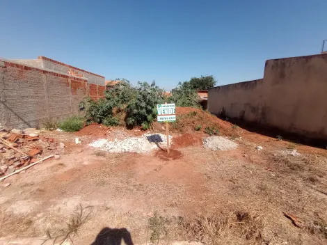 Palestina Jardim do Bosque I Terreno Venda R$66.000,00  Area do terreno 264.93m2 
