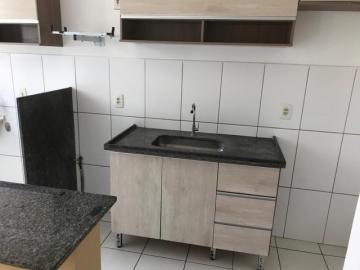 Alugar Apartamento / Padrão em São José do Rio Preto R$ 800,00 - Foto 5