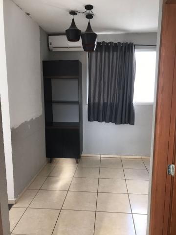 Apartamento / Padrão em São José do Rio Preto 