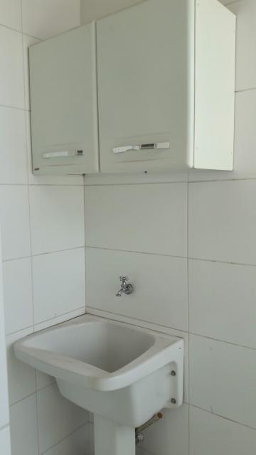 Alugar Apartamento / Padrão em São José do Rio Preto R$ 1.000,00 - Foto 4