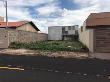 Terreno / Padrão em São José do Rio Preto 