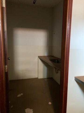 Alugar Comercial / Casa Comercial em São José do Rio Preto R$ 4.000,00 - Foto 5