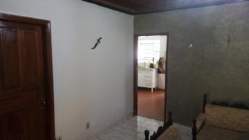 Comprar Casa / Padrão em Cedral R$ 250.000,00 - Foto 3