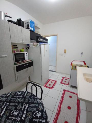 Alugar Apartamento / Padrão em São José do Rio Preto R$ 600,00 - Foto 8