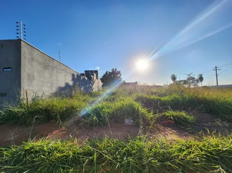 Alugar Terreno / Padrão em São José do Rio Preto. apenas R$ 120.000,00